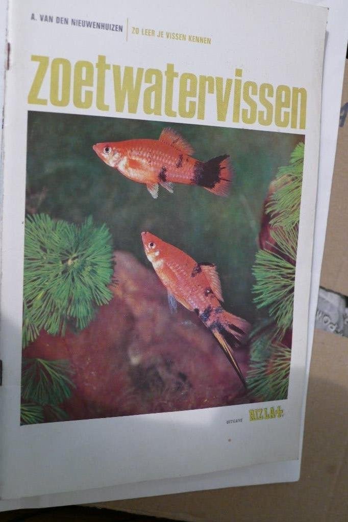 A. van den Nieuwenhuizen – Zoetwatervissen (Rizla), Ophalen of Verzenden, Gelezen, A. van den Nieuwenhuizen, Plaatjesalbum