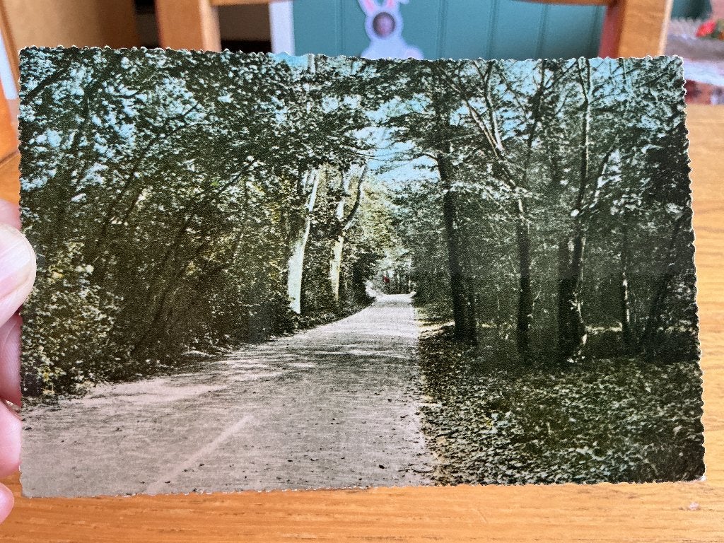Bergen Schoorlseweg, Verzenden, 1960 tot 1980, Gelopen, Noord-Holland