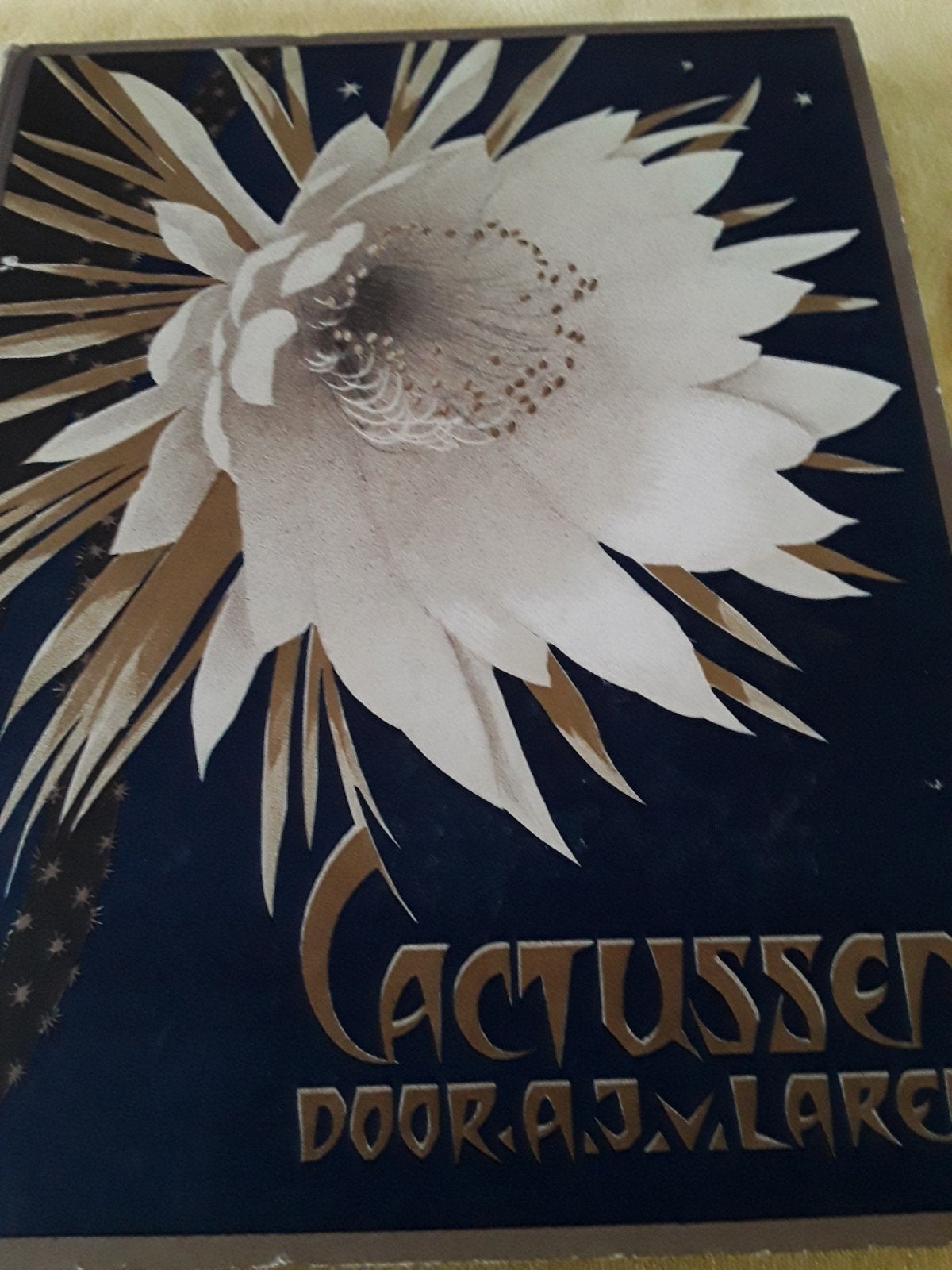 cactussen, Aj van laren, Ophalen of Verzenden