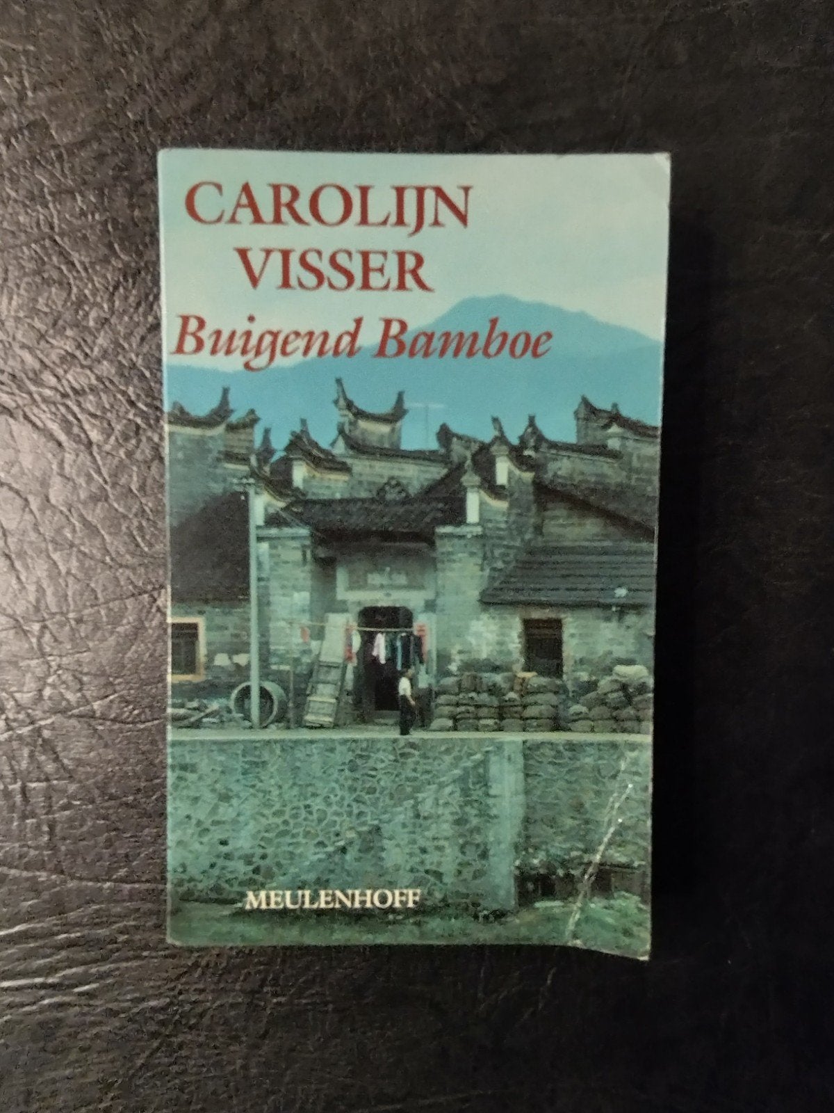 Buigend Bamboe - Carolijn Visser (Meulenhoff), Ophalen of Verzenden, Gelezen, Carolijn Visser, Nederland