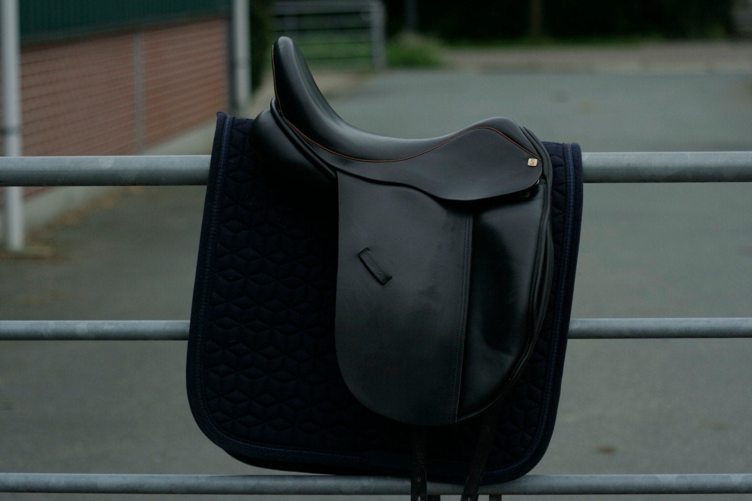 Ideal/symbion suzannah, Dieren en Toebehoren, Ophalen, Zo goed als nieuw, Dressuur