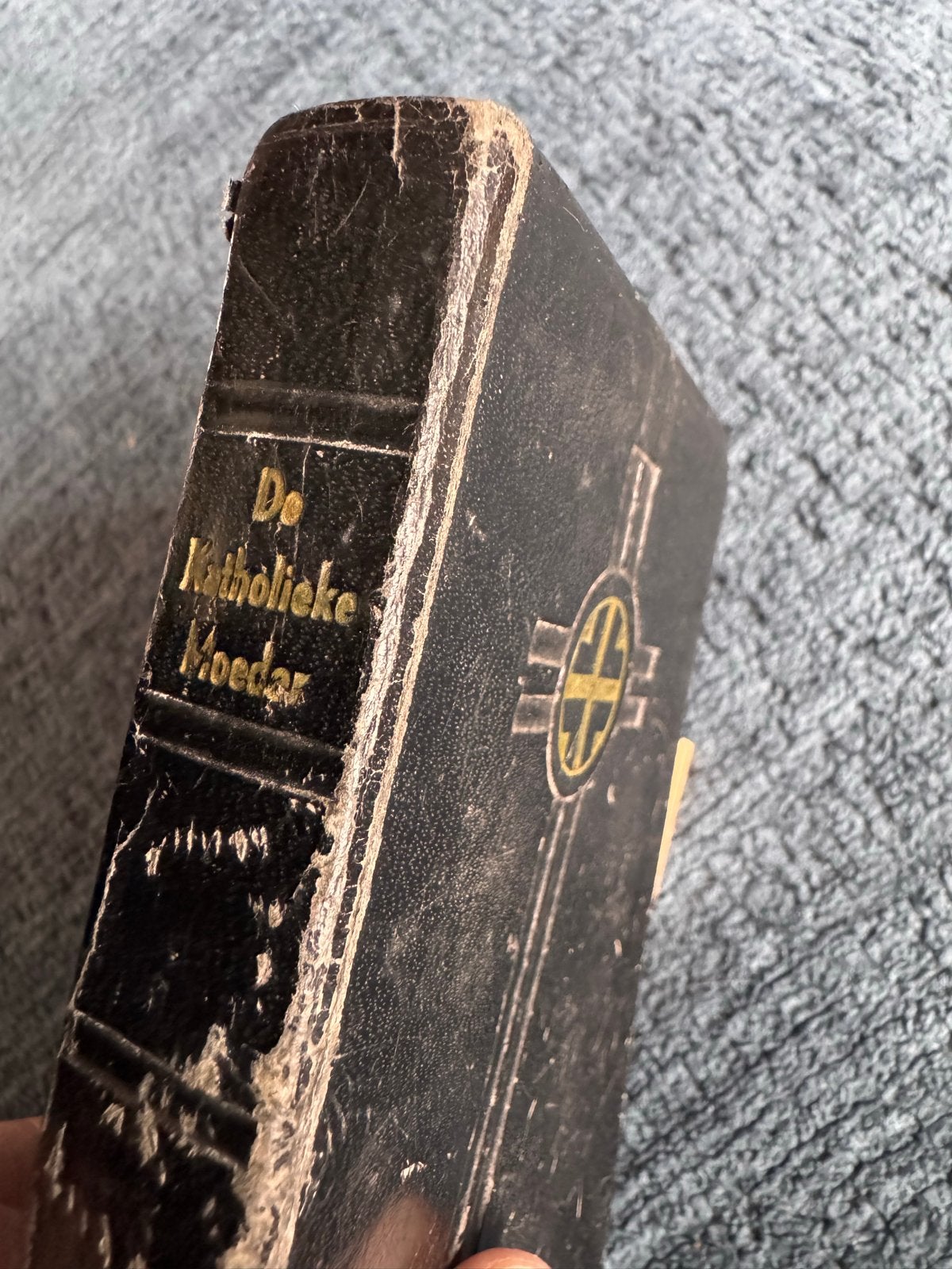 De Katholieke Moeder - P. Hieronymus Rongen O. C. R., Ophalen of Verzenden
