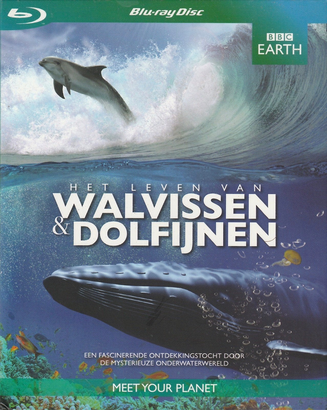 Het Leven van Walvissen & Dolfijnen BBC EARTH Blu-ray, Cd's en Dvd's, Documentaire, Engels, Verzenden, Alle leeftijden