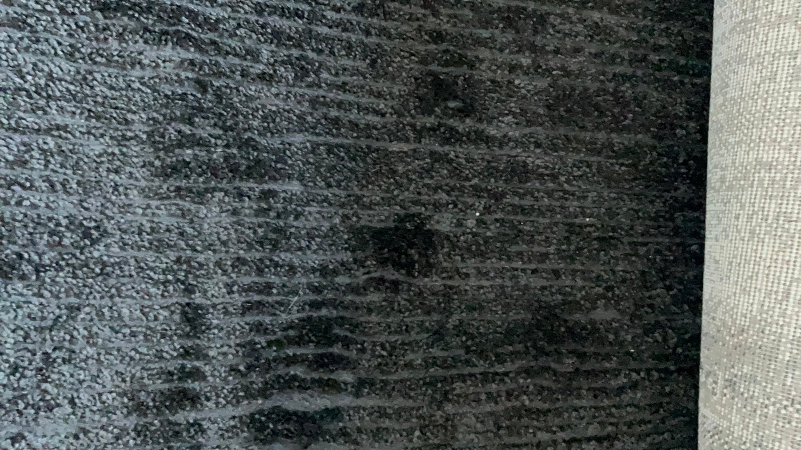 Nieuw Carpetright vloerkleed Josie 1.60 bij 2.30 m, Ophalen, Zwart, 150 tot 200 cm, Rechthoekig