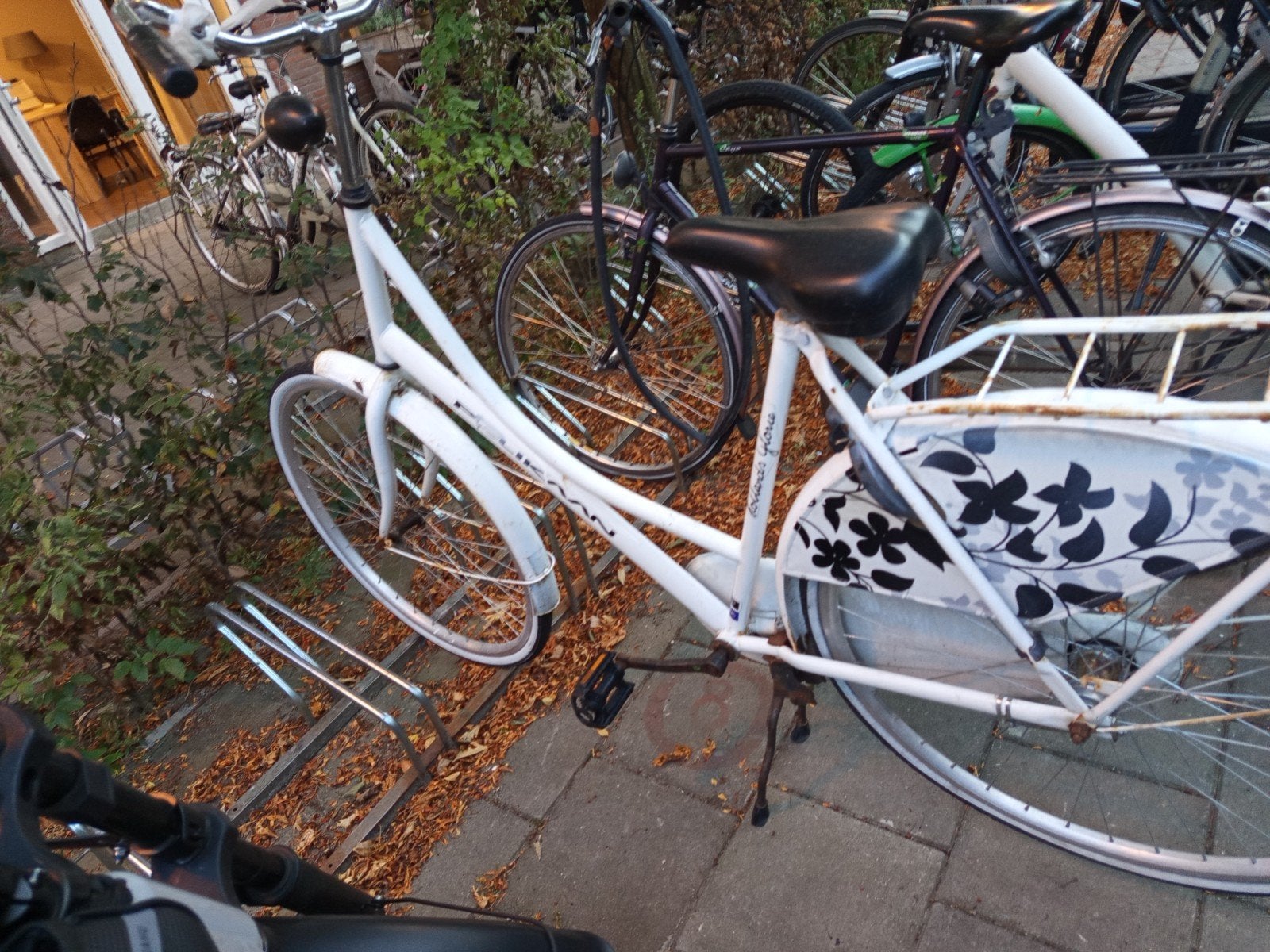 Dames fiets, Ophalen, Gebruikt, Terugtraprem, Overige merken
