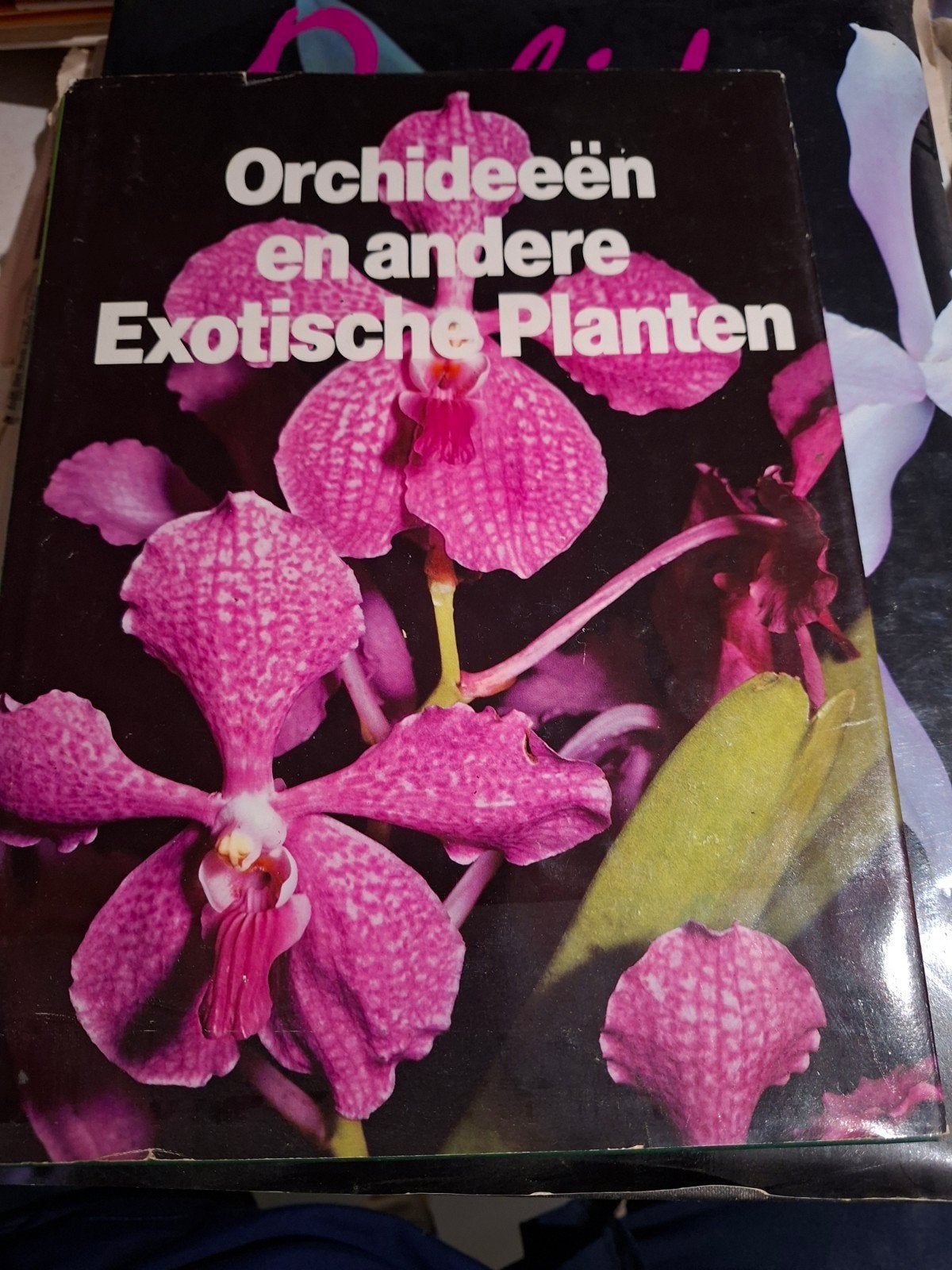 Orchideeën en andere Exotische Planten Boek, Ophalen of Verzenden, Gelezen, Bloemen, Planten en Bomen