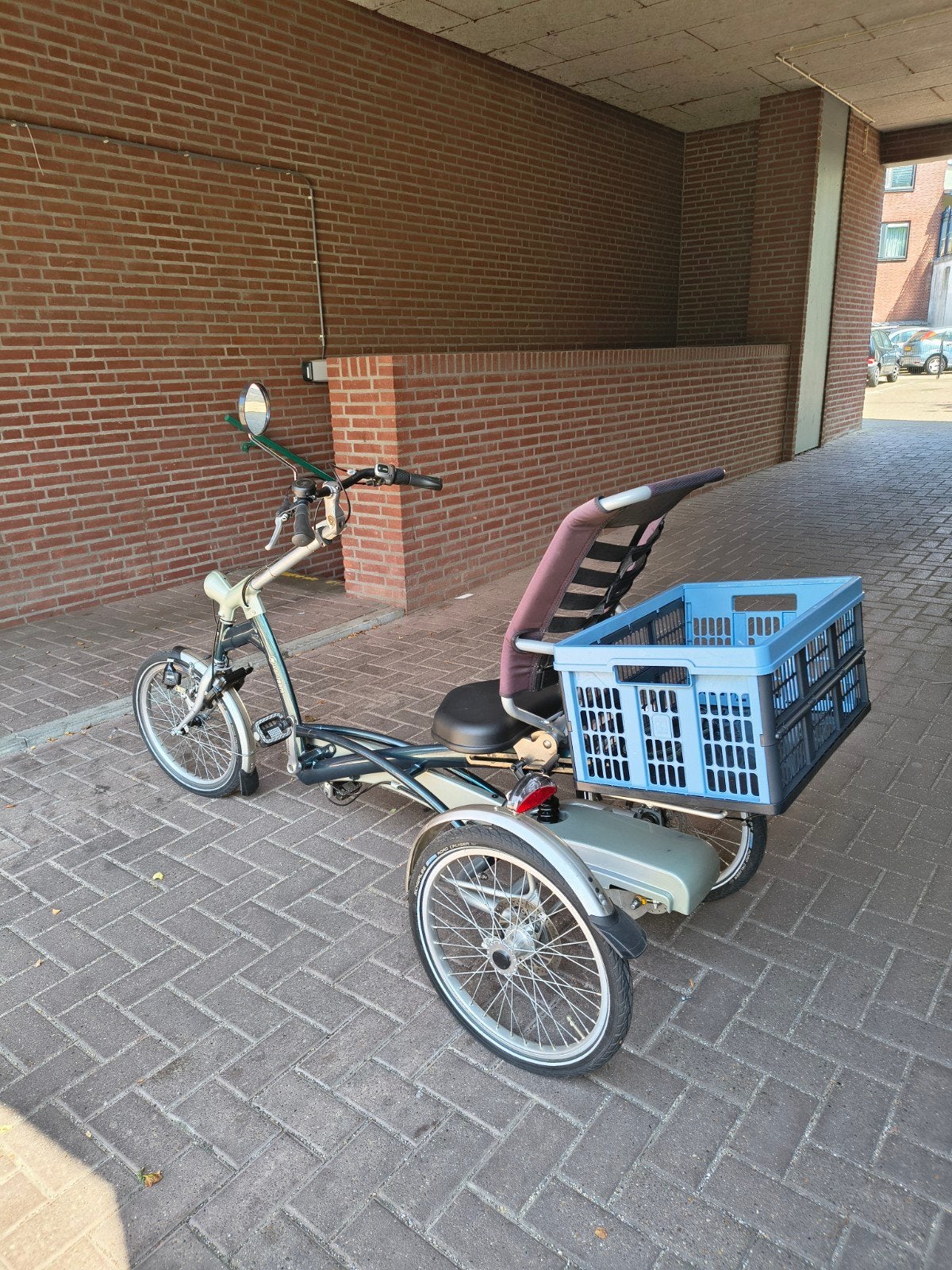 Van Raam Easy Rider driewielerfiets, Ophalen, Zo goed als nieuw, Velgrem, Van Raam Easy Rider