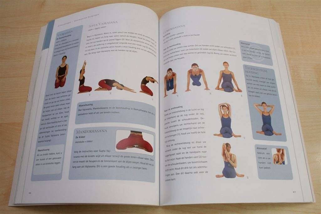 Yoga — Hatha Yoga Oefeningen & Sessies voor Thuis, Ophalen of Verzenden, Gelezen, Overige onderwerpen, Achtergrond en Informatie
