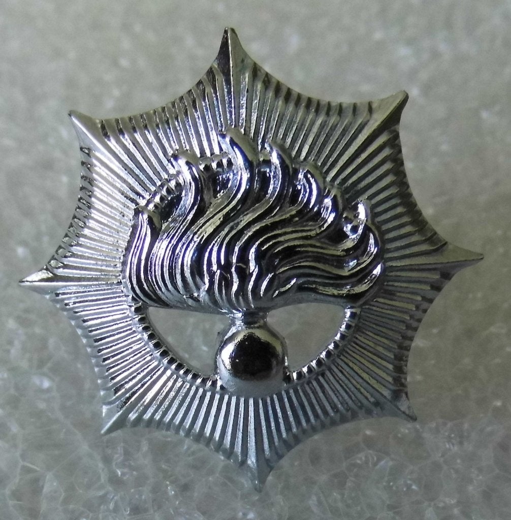 Oud metalen embleem Rijkspolitie (klein), Verzamelen, Verzenden, Overige soorten, Nederland, Embleem of Badge