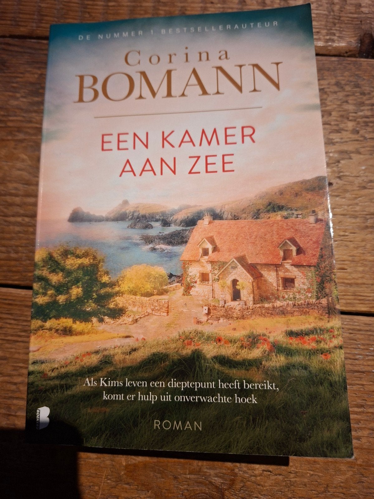 corina Bosmann een kamer aan zee, Ophalen of Verzenden, Gelezen