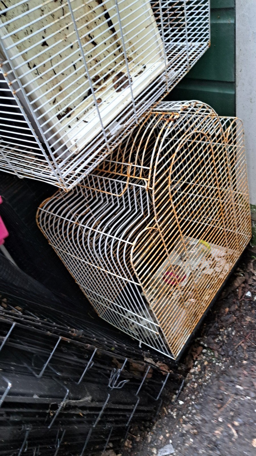 Restmateriaal kooien vogel hamster 50,00, Kooi, Gebruikt, Minder dan 75 cm, Hamster