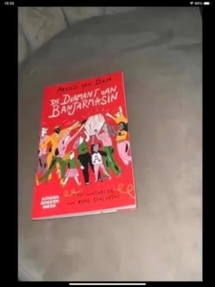 De Diamant van Banjarmasin - Arend van Dam, Boeken, Ophalen of Verzenden, Zo goed als nieuw, Arend van Dam