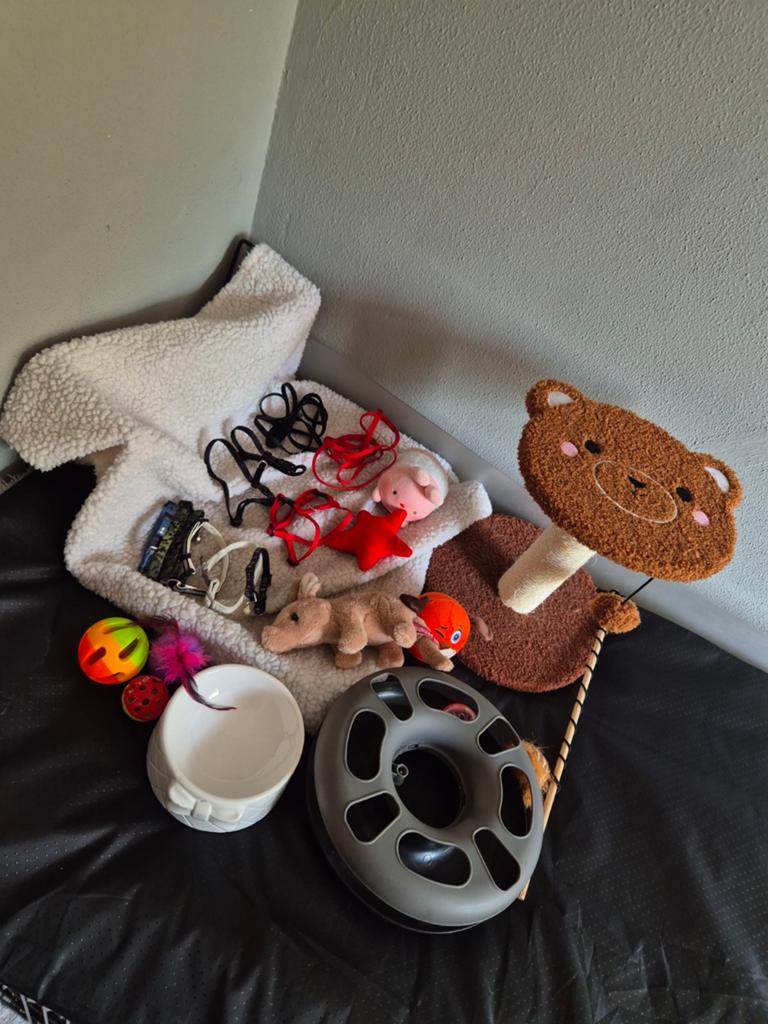 Katten spullen, Dieren en Toebehoren, Katten-accessoires, Ophalen of Verzenden