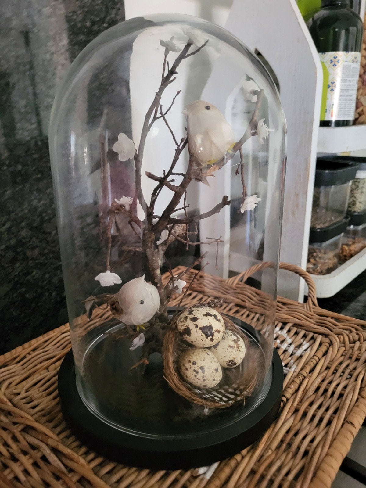 Glazen stolp met vogels en nestje - decoratief, Meerkleurig, Ophalen of Verzenden, Glas, Landelijk