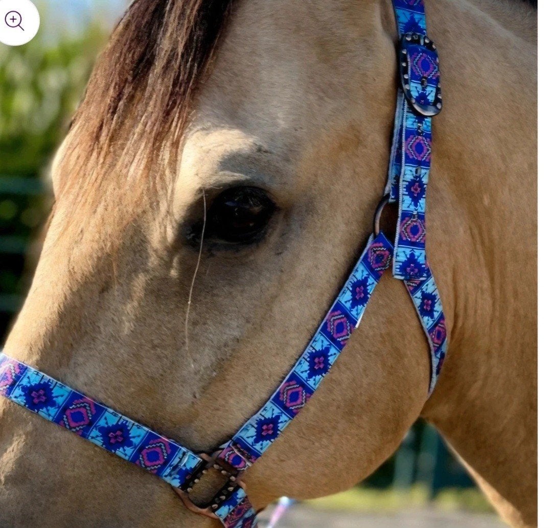 Halster uniek turquoise blauw paars, Dieren en Toebehoren, Paarden en Pony's | Hoofdstellen en Tuigage, Ophalen of Verzenden, Nieuw