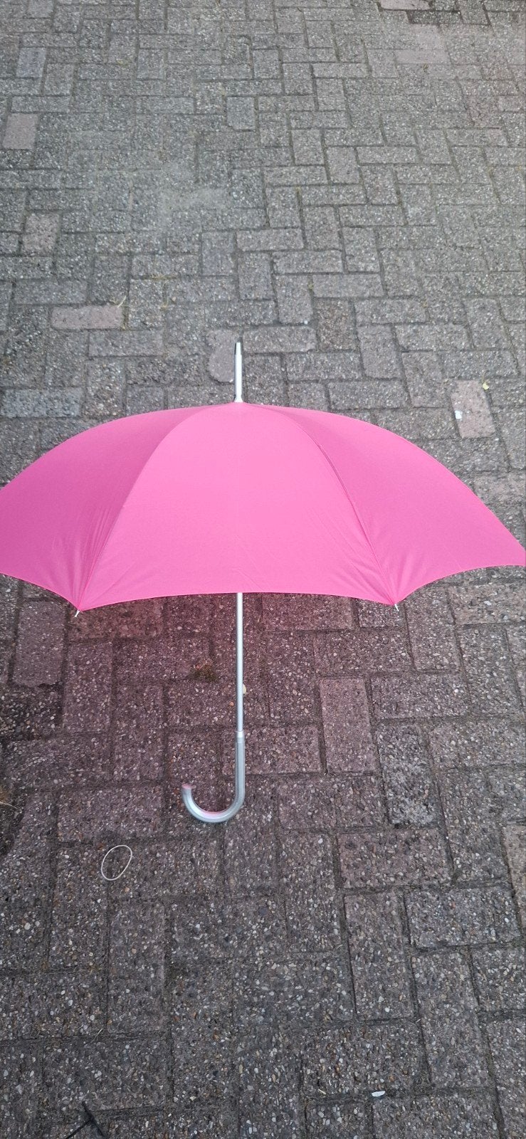 Partij 12 stuks roze paraplu - Nieuw en ongebruikt, Nieuw, Concept.com, Concept, Ophalen of Verzenden