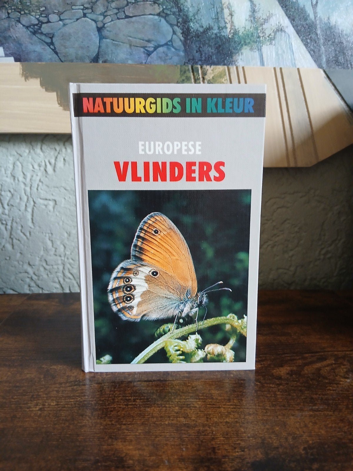 Natuurgids in Kleur: Europese Vlinders, Ophalen of Verzenden, Zo goed als nieuw, Natuur algemeen, Onbekend
