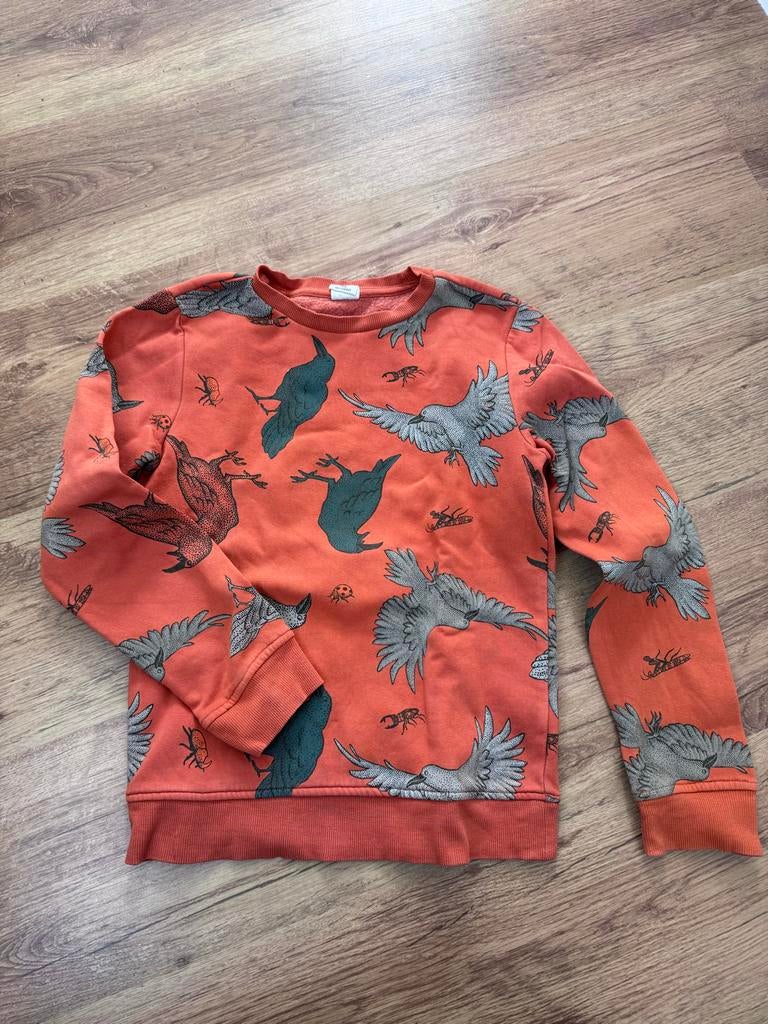 Hema trui maat 134/140 met vogelprint, Ophalen of Verzenden, Gebruikt, Jongen of Meisje, Trui of Vest