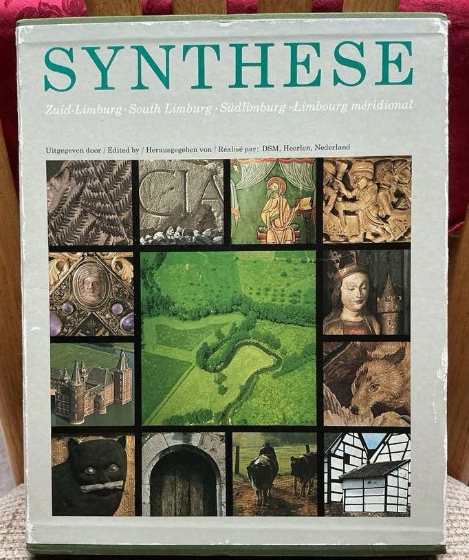 Synthese Zuid-Limburg - Prachtig geïllustreerd boek 📔, Ophalen of Verzenden, Zo goed als nieuw, Nederland