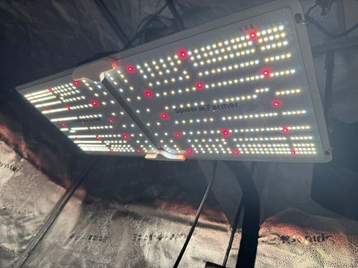 Spiderfarmer SF2000 LED Kweeklamp Full Spectrum, Ophalen, Zo goed als nieuw