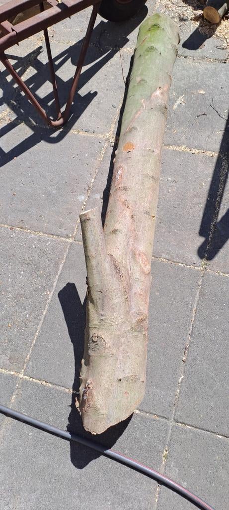 Esdoorn hout, Minder dan 3 m³, Ophalen