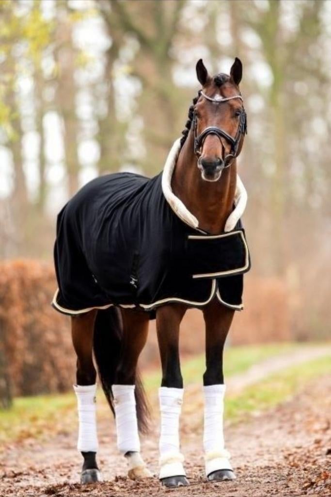 Showdeken statiedeken HB polar luxe fleecedeken mt 175, Ophalen of Verzenden, Nieuw, Deken