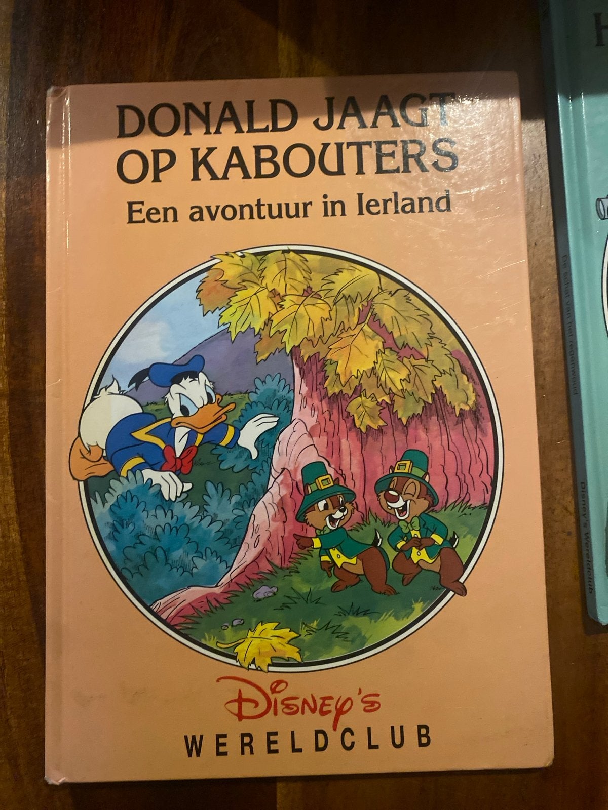 Donald Jaagt op Kabouters - Een avontuur in Ierland, Boeken, Ophalen of Verzenden, Gelezen, Sprookjes