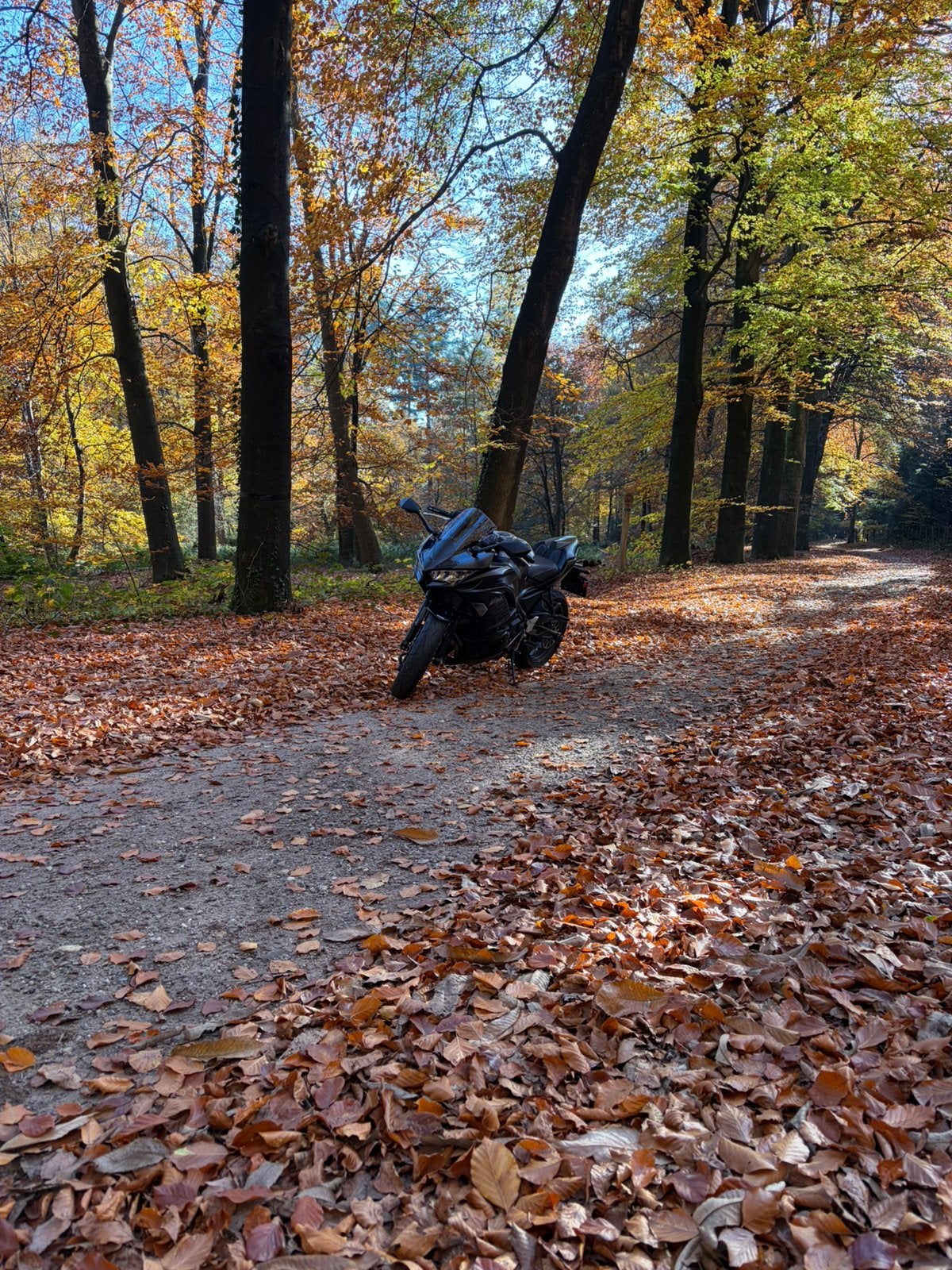 Kawasaki Ninja 650 2025 A2 10.800km, Ophalen