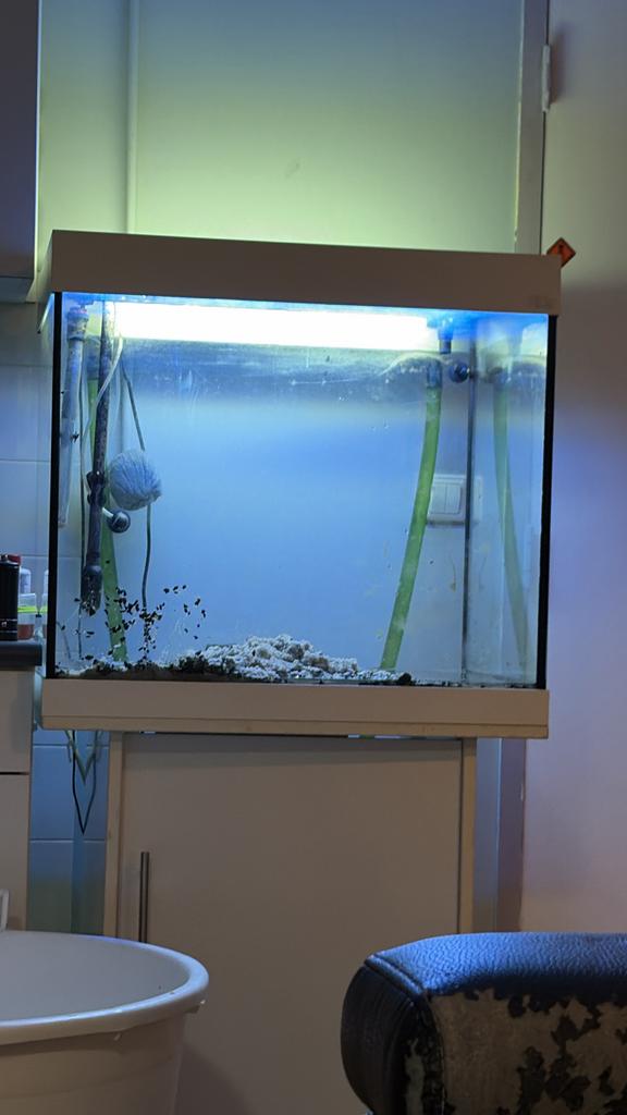 Aquarium en toebehoren, Dieren en Toebehoren, Ophalen, Leeg aquarium