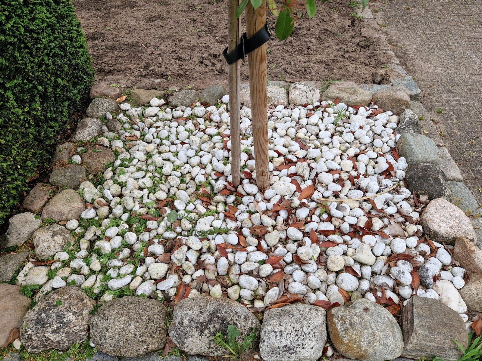 Gratis natuurstenen: grote en kleine witte stenen, Ophalen