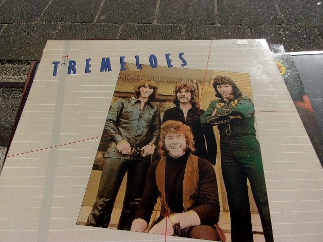 tremeloes, Beschermende buitenhoes, LP, Overige formaten, Ophalen of Verzenden
