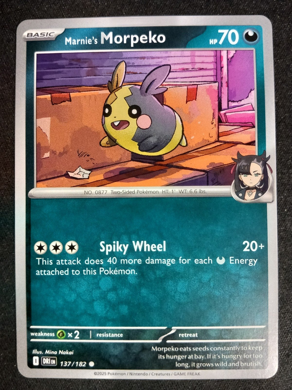 Marnie's Morpeko 137/182 Destined Rivals NM, Verzenden, Zo goed als nieuw, Losse kaart