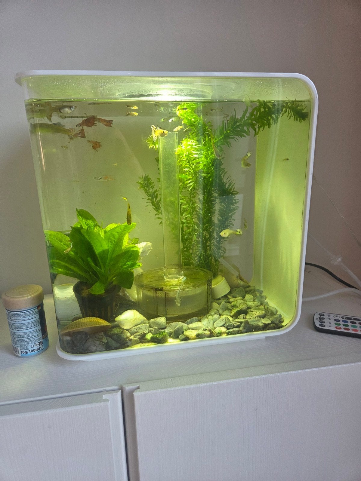 biorb flow 15, Ophalen, Leeg aquarium