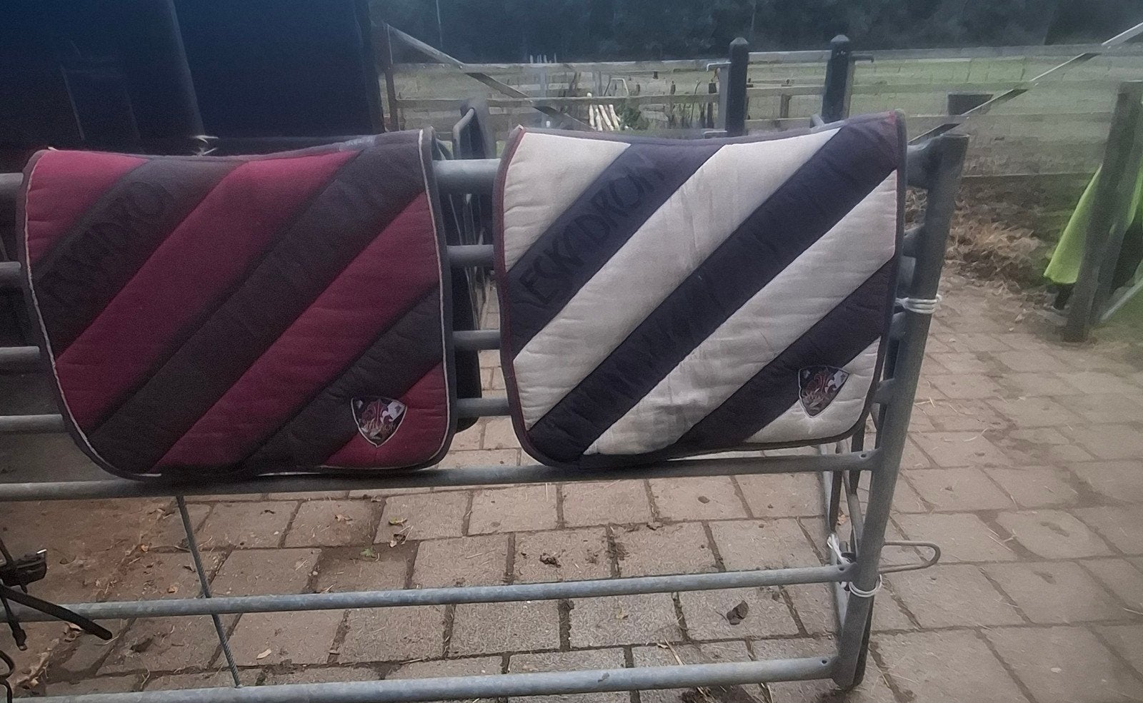 2 eskadron dekjes, Dieren en Toebehoren, Ophalen of Verzenden