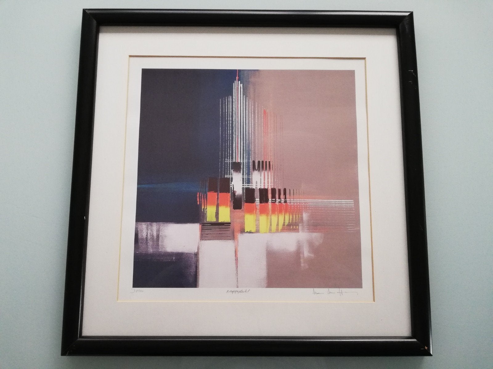 Zeefdruk Luc Drappier"weggeplukt" 81/100, Antiek en Kunst, Kunst | Litho's en Zeefdrukken, Gelimiteerde oplage, Ophalen of Verzenden