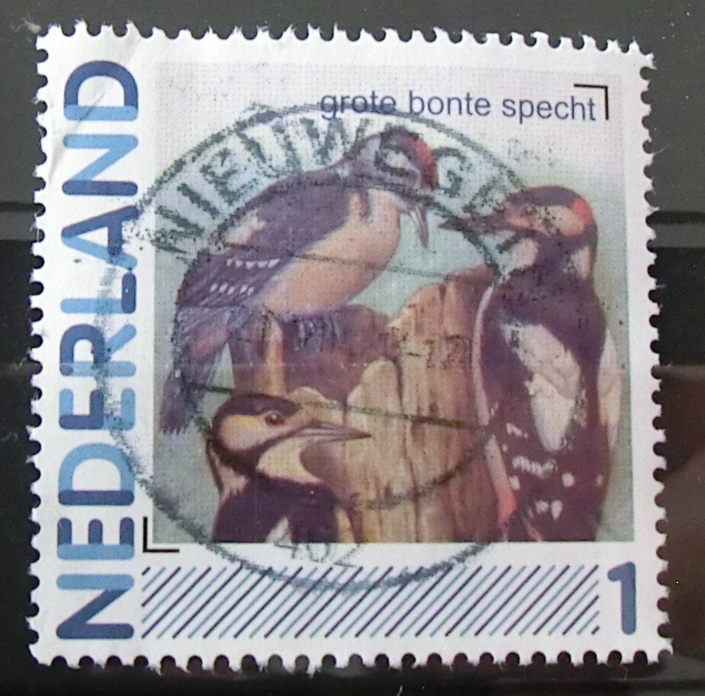persoonlijke postzegel, Vogels, gest (lees aub), Ophalen of Verzenden, Na 1940, Gestempeld