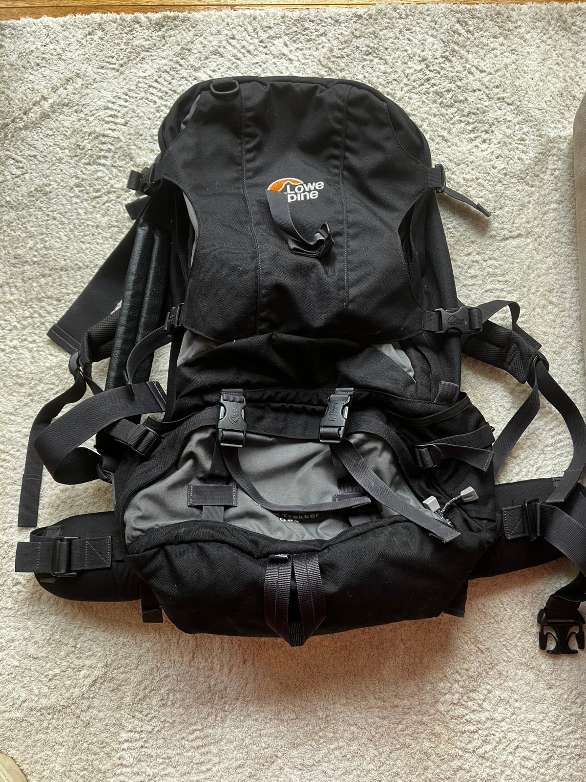 Alpine Lowe trekking rugzak 60 L, Sport en Fitness, Ophalen of Verzenden, Gebruikt, Rugzak