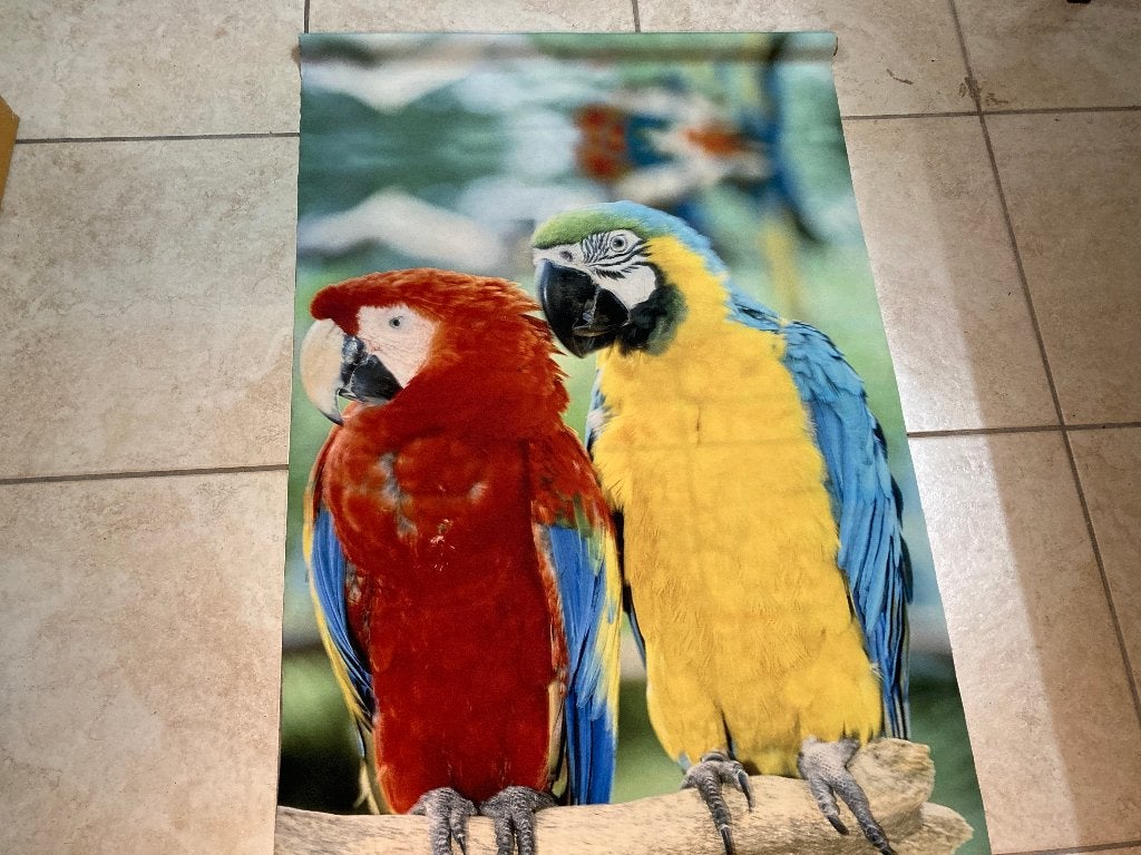 ✅ Decoratie doeken Papegaai / Ara 200x70cm NIEUW, Ophalen of Verzenden, Nieuw