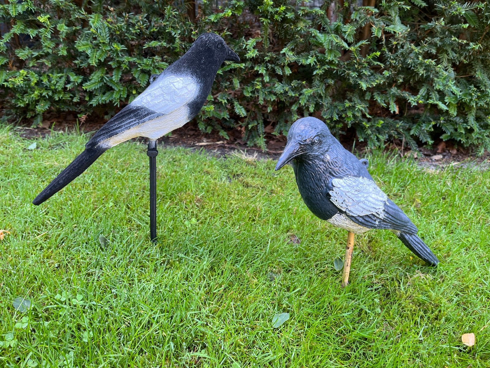 2 stuks eksters lokvogel voor jacht of tuin, Ophalen of Verzenden, Zo goed als nieuw