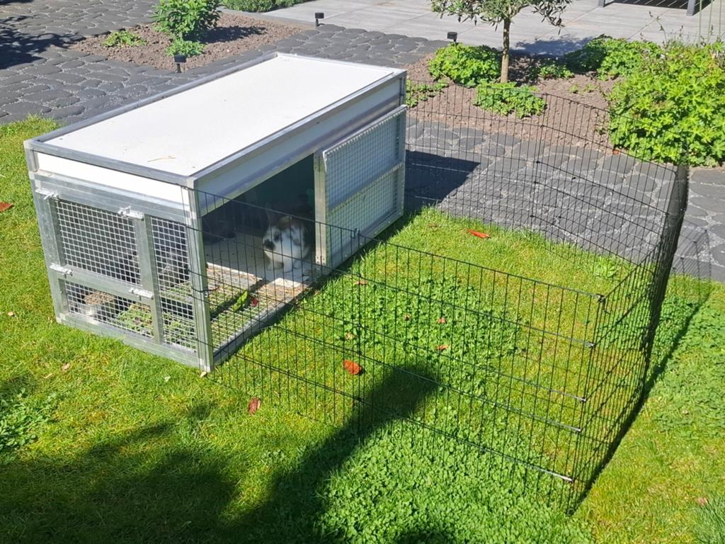 Aluminium konijnenhok met 2 jonge konijnen., 110 cm of meer, 60 tot 90 cm, Ophalen of Verzenden, Zo goed als nieuw