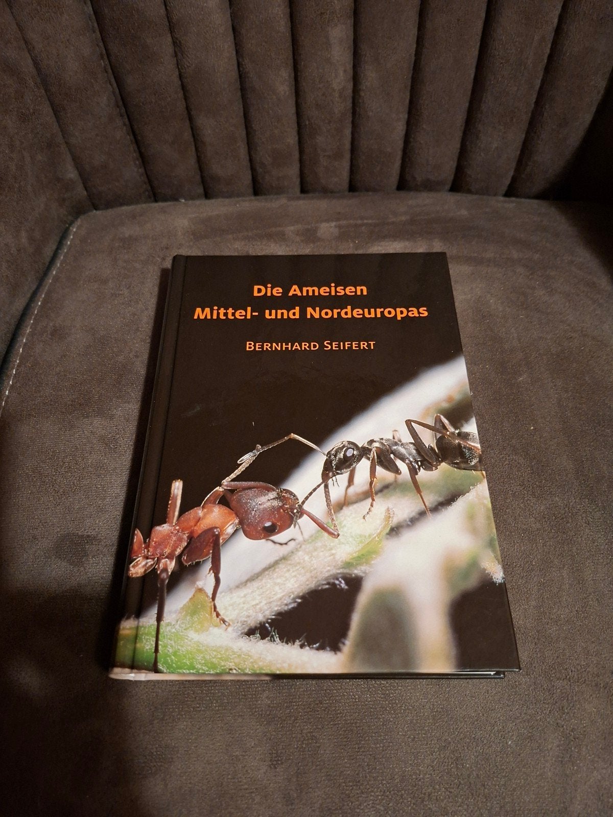Die Ameisen Mittel- und Nordeuropas - Bernhard Seifert, Boeken, Ophalen of Verzenden, Zo goed als nieuw, Natuur algemeen, Bernhard Seifert