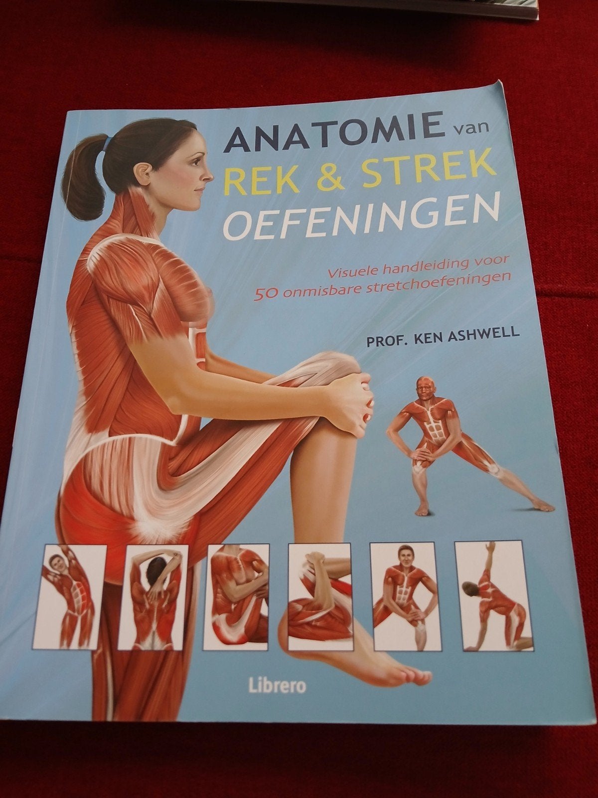 Anatomie van Rek & Strek Oefeningen - Ken Ashwell, Boeken, Ophalen of Verzenden, Zo goed als nieuw, Gezondheid en Conditie, Prof. Ken Ashwell