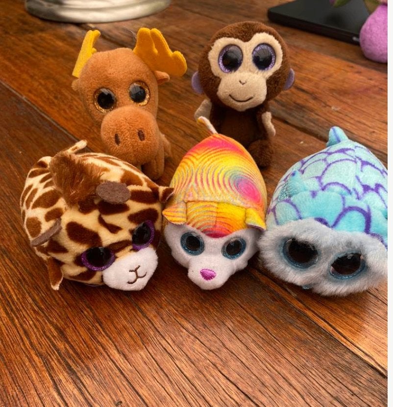 5 kleine TY knuffels (met grote ogen), Overige karakters, Overige typen, Ophalen of Verzenden, Zo goed als nieuw