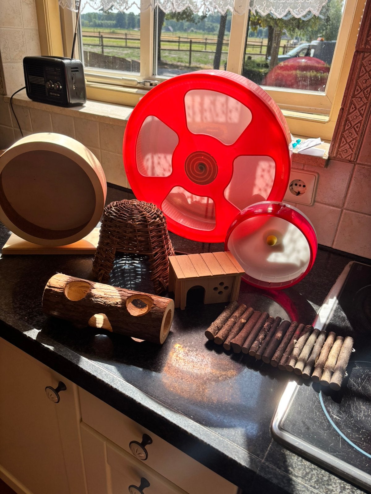 Hamster spullen, Ophalen of Verzenden, Zo goed als nieuw