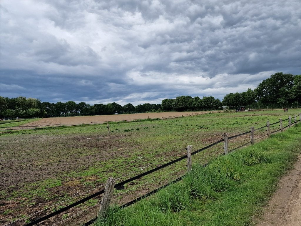 Te koop bosgrond, diverse bospercelen en weilanden, Ophalen, Volle zon, Overige soorten
