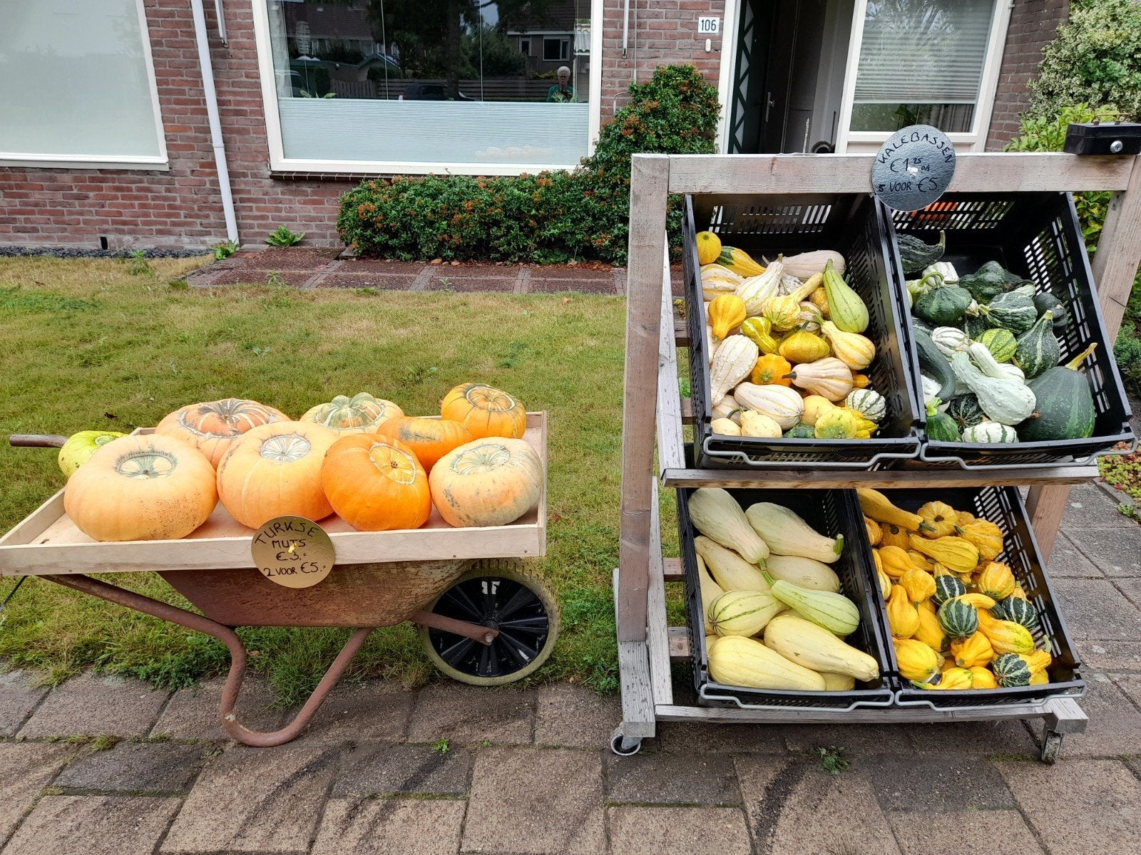 kalebassen en Turkse mutsen, Ophalen, Nieuw