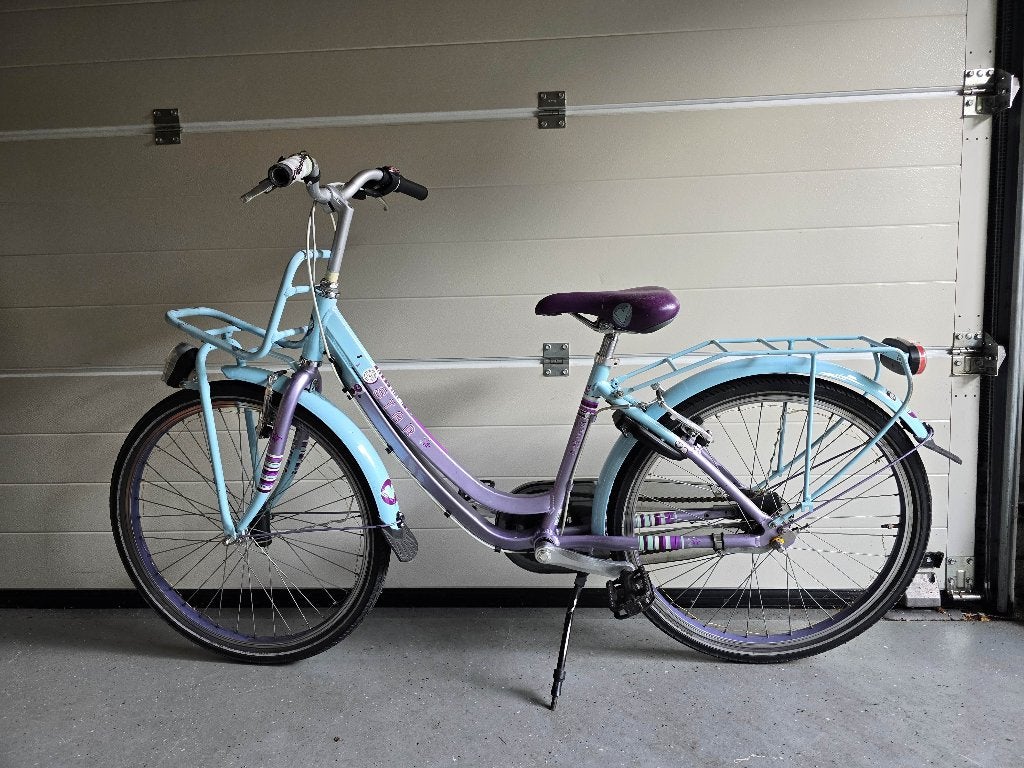 24 inch Batavus Star Transport, Fietsen en Brommers, Ophalen, Velgrem, Batavus, Handrem