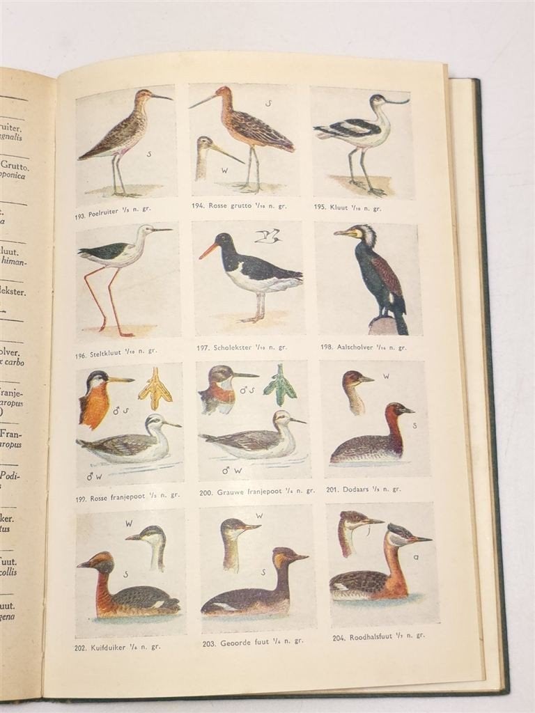 Wat Vliegt Daar? — Vintage Vogelboek met Kleurenplaten 1949, Ophalen of Verzenden, Gelezen, Vogels
