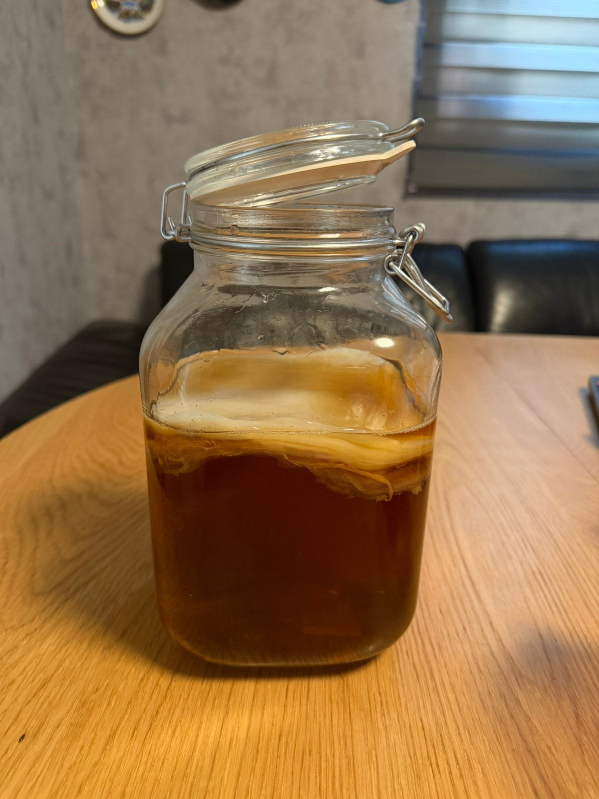 Kombucha zwam scoby, Ophalen of Verzenden