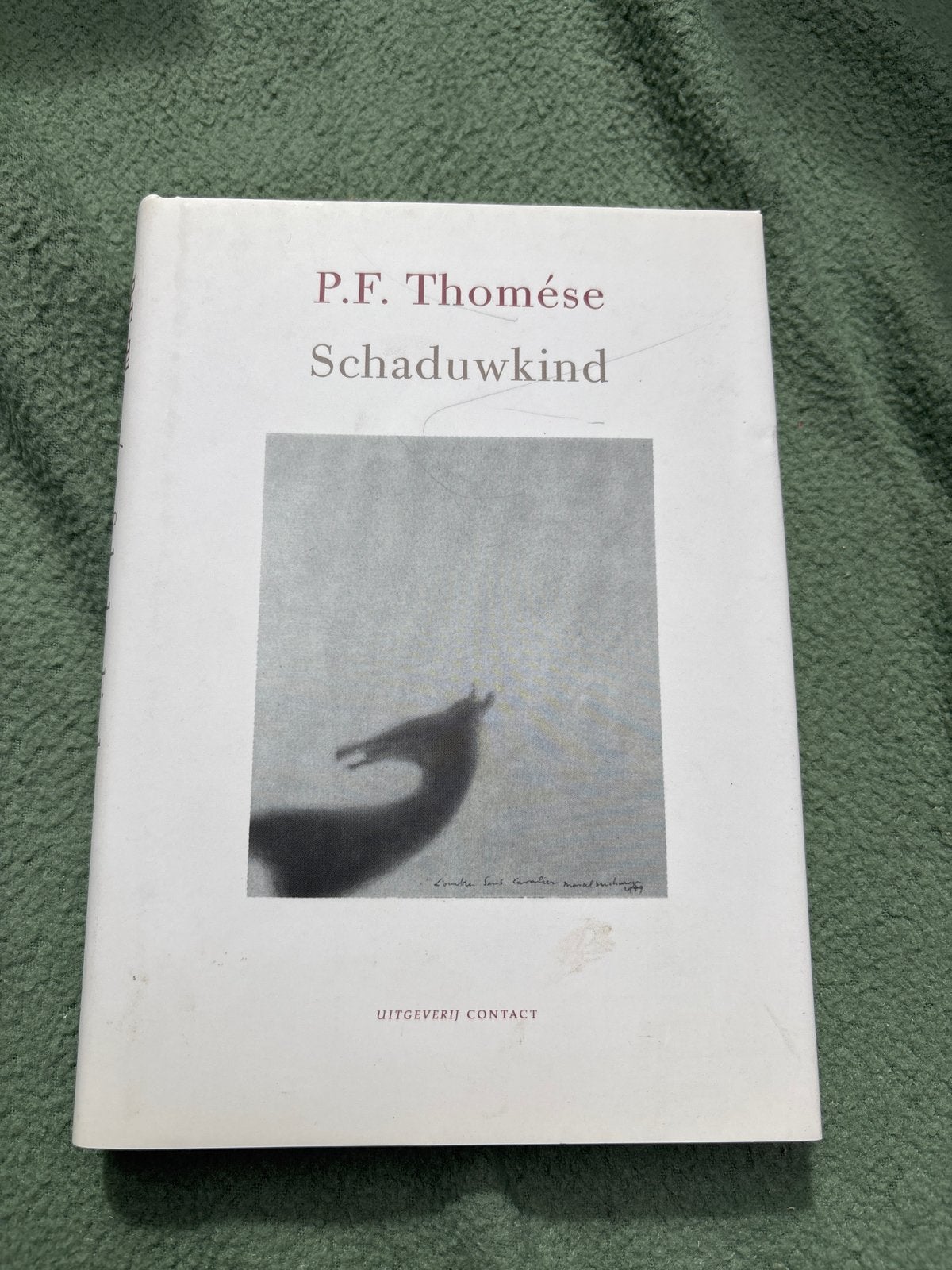 P.F. Thomése - Schaduwkind (Boek), Boeken, Ophalen, Zo goed als nieuw, Nederland